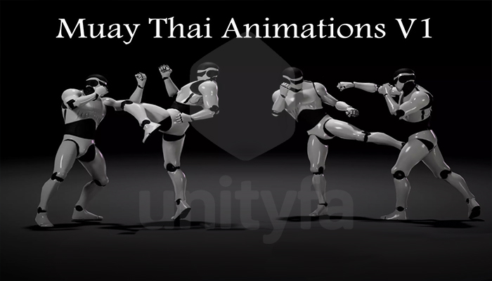 Combat animations - Kickboxing and Muay